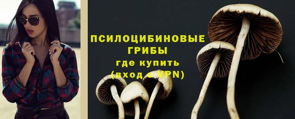 ALPHA PVP Лабытнанги