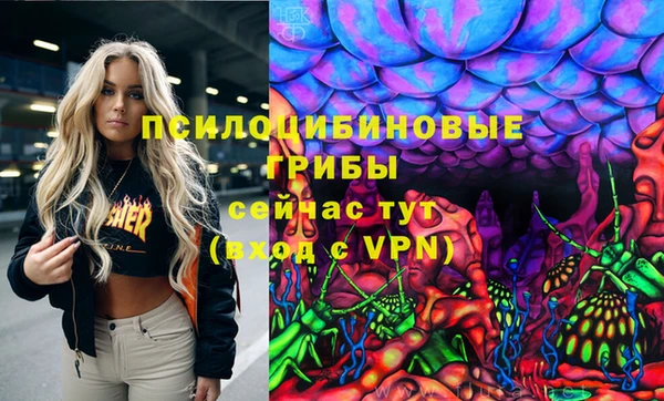 дмт Лагань
