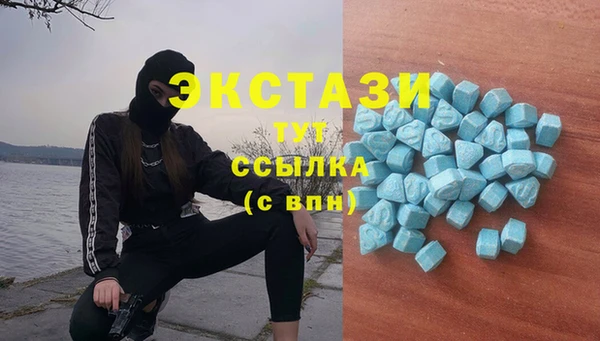 дмт Лагань