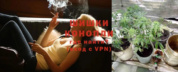 дмт Лагань