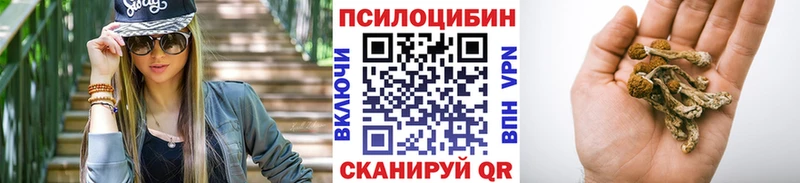 хочу наркоту  Щучье  Псилоцибиновые грибы мухоморы 